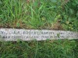 image of grave number 487727
